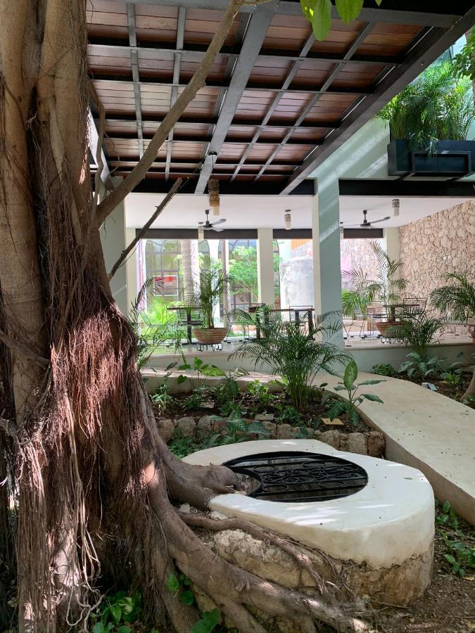 Treehouse Boutique Hotel, An Adults Only Boutique Hotel Mérida Exterior foto