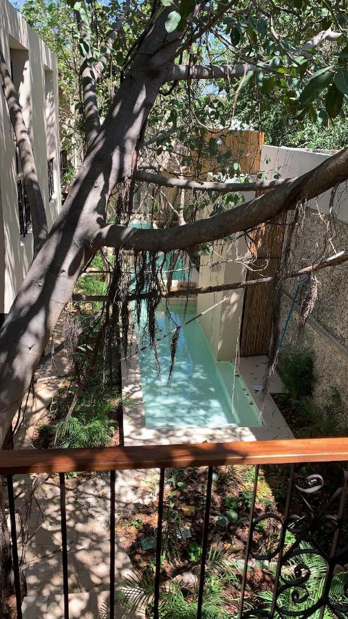 Treehouse Boutique Hotel, An Adults Only Boutique Hotel Mérida Exterior foto