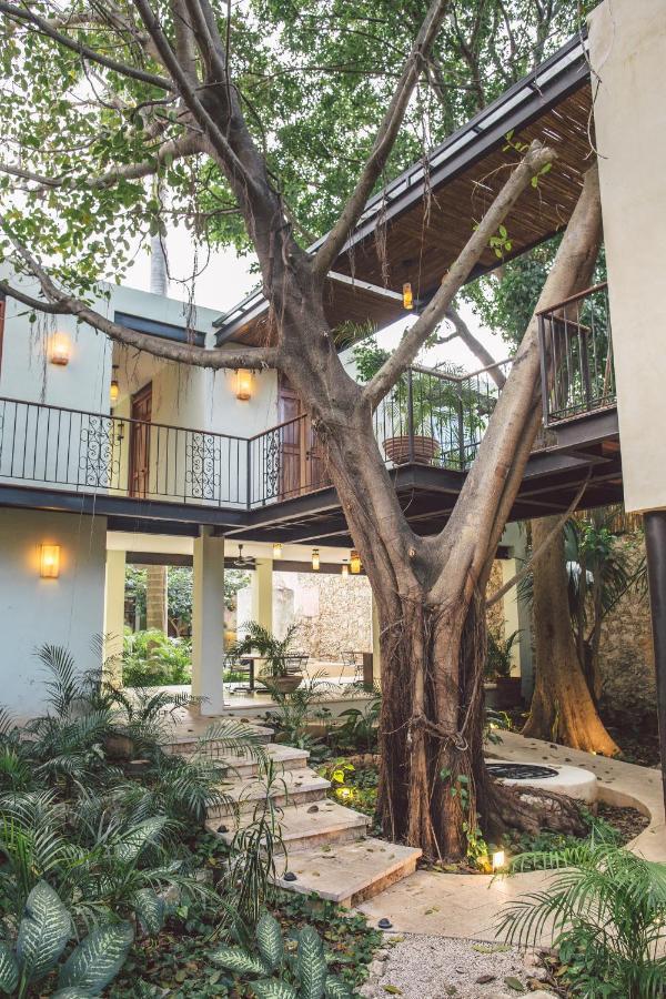Treehouse Boutique Hotel, An Adults Only Boutique Hotel Mérida Exterior foto